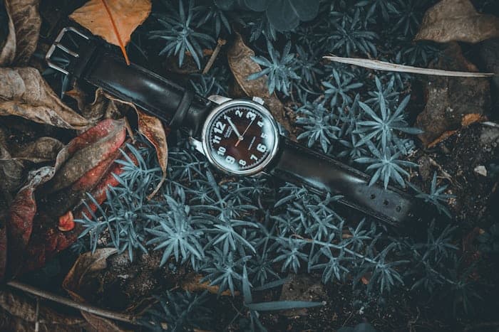 Titan Field Chronograph alternate view